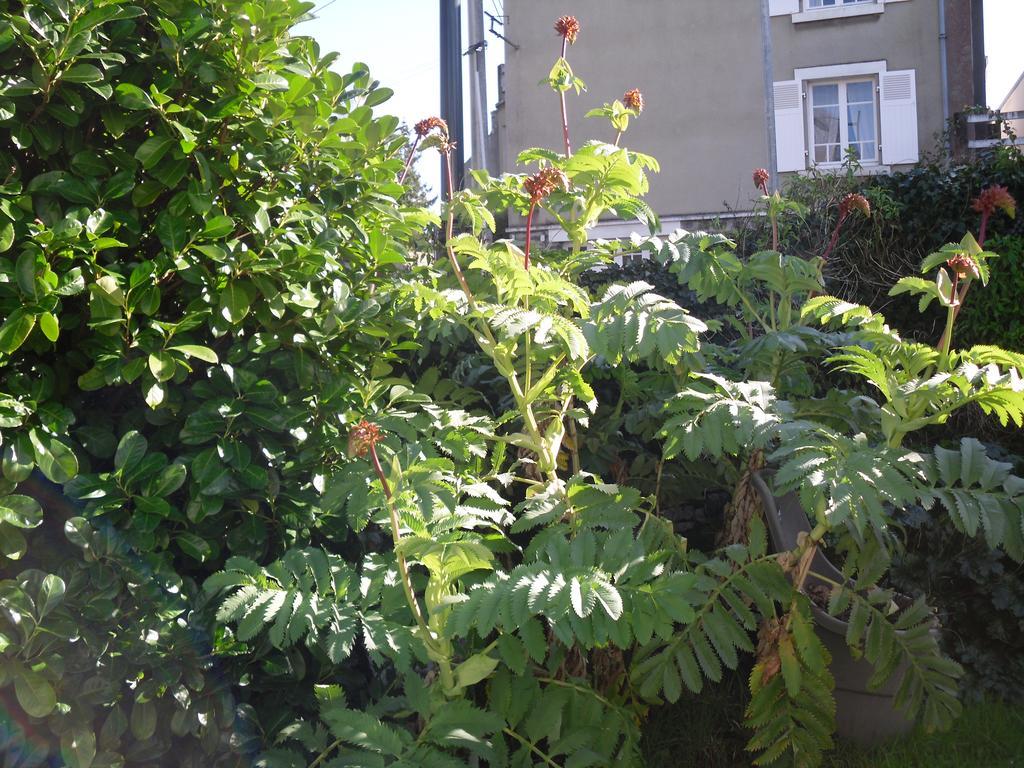 La Loob De Daumesnil Etage Morlaix